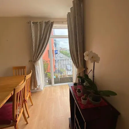 Apt In City, Spacious Spaces, Great View On Shannon River, Close To All Amenities Apartment *