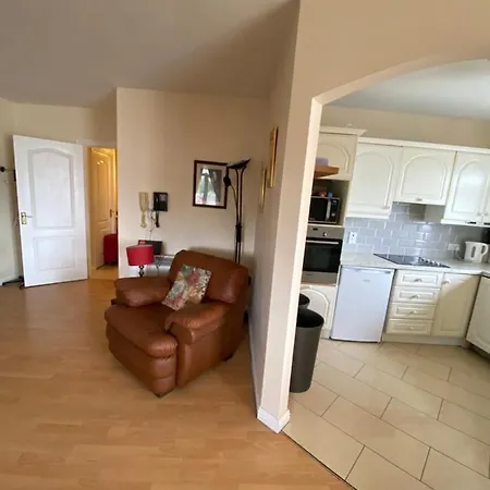 Apt In City, Spacious Spaces, Great View On Shannon River, Close To All Amenities Apartment *